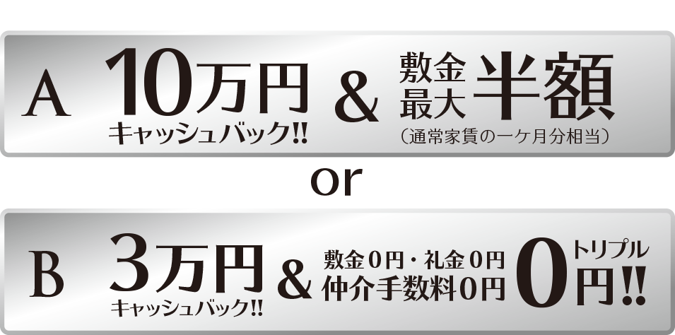 特典A,Bからお選びいただけます