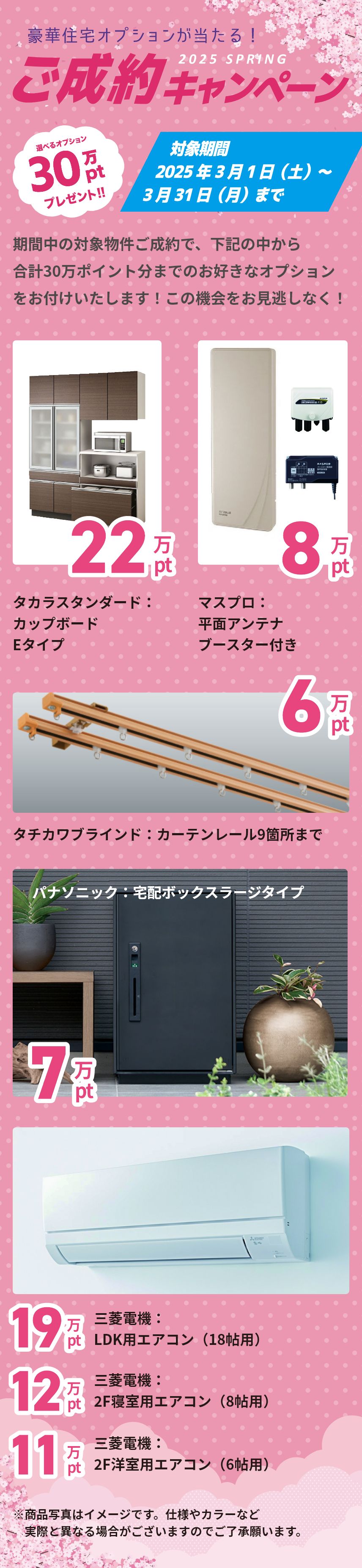 2025春　キャンペーン