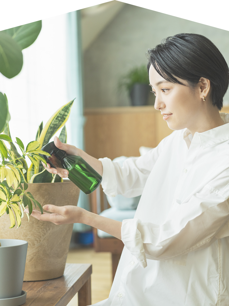 理想の住まい探しはさくらホームウーマンに