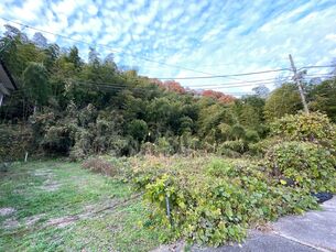 富山市安養坊字倉ケ谷　土地の外観