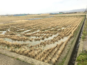 金沢市木越町ワ　土地の外観