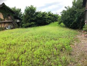 中新川郡上市町横法音寺　土地の外観